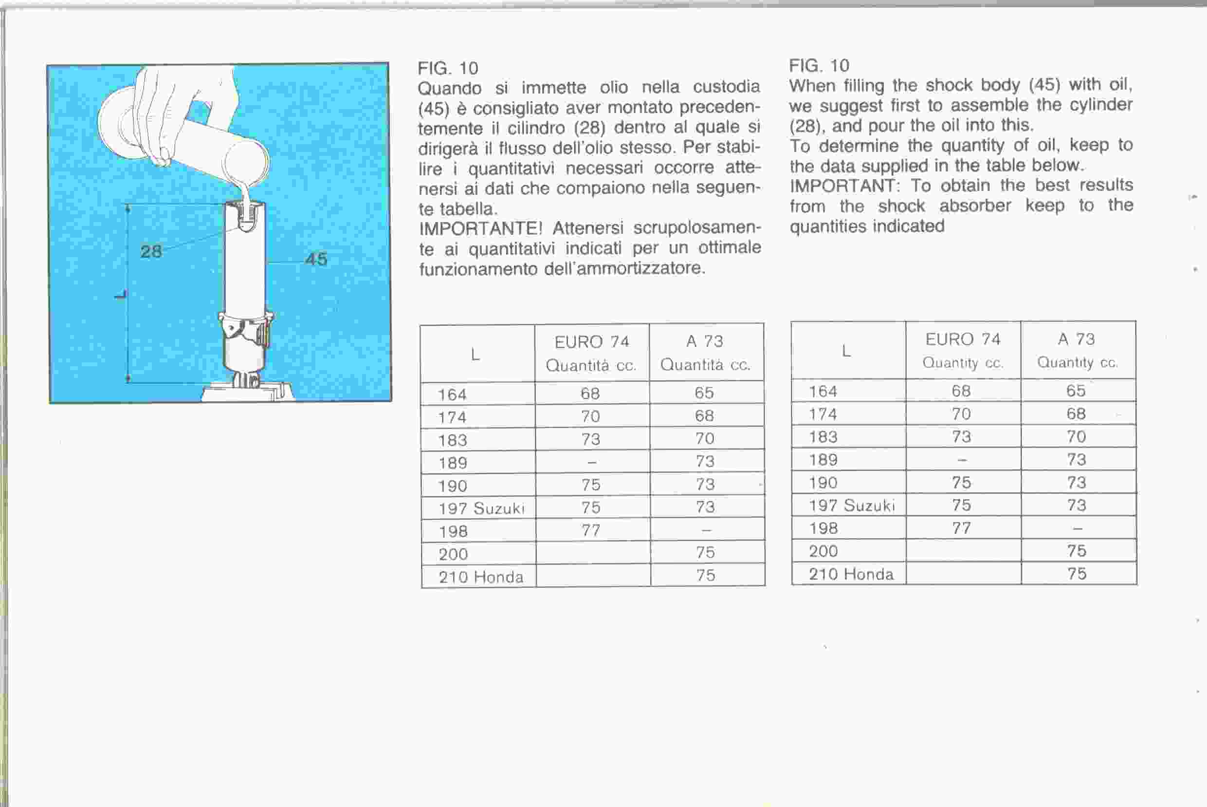 P18.jpg