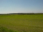 leaving for Morano-sul-Po