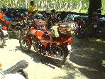 leaving for Morano-sul-Po