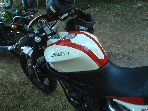 leaving for Morano-sul-Po