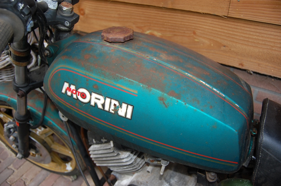 DSC_7991.JPG