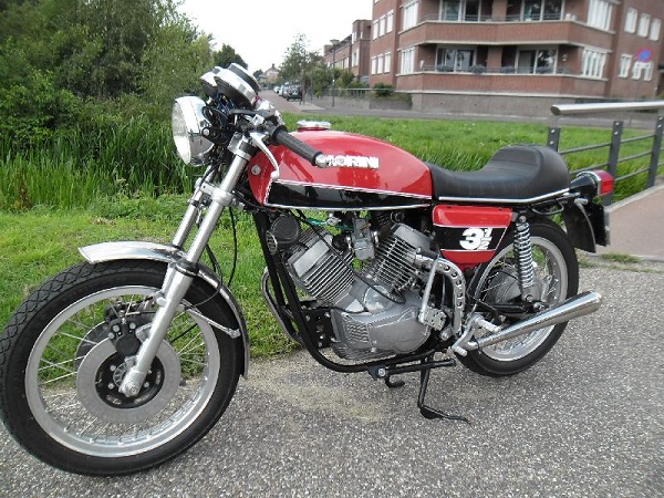 proborr75.jpg