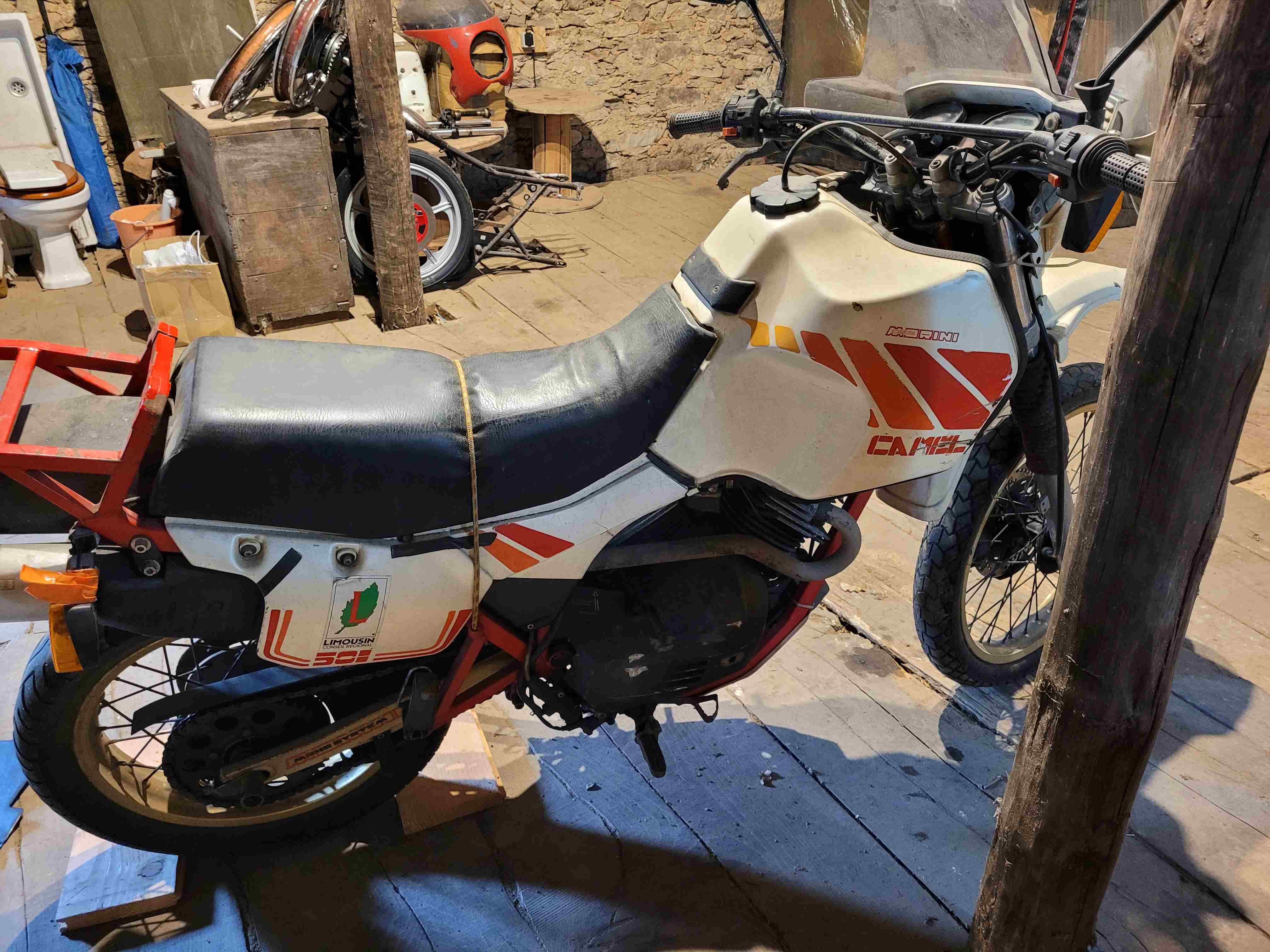 Camel 501 Forum 2.jpg