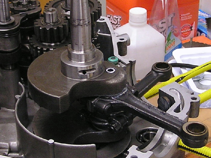 P1010057a.jpg